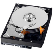 2Tb SATA-II Western Digital AV-GP (WD20EURS)