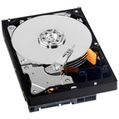 2Tb SATA-II Western Digital AV-GP (WD20EURS)